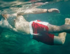&SONS Bottoms & Shorts></noscript>Bodhi Boardshorts Red